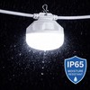 8 Globe LED Light Set, Straight/White Cable