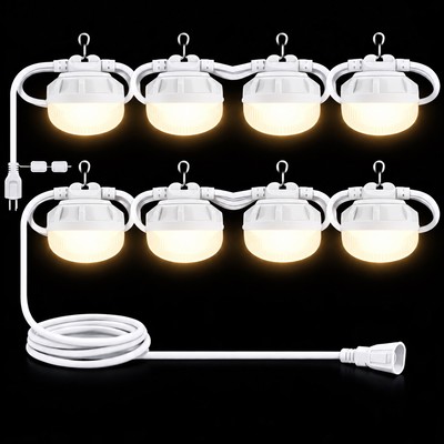 2 Globe 2700K LED Light Set, Straight/White Cable